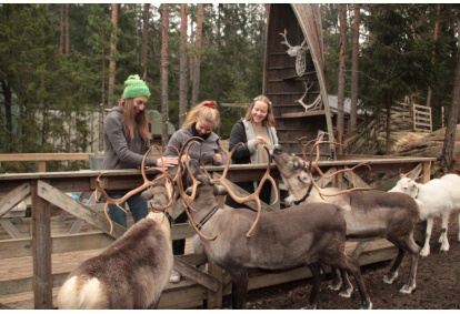 Family ticket to Nuuksio Poropuisto