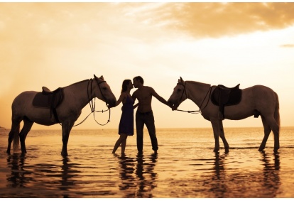 A fabulous horse ride through the forest and along the seashore