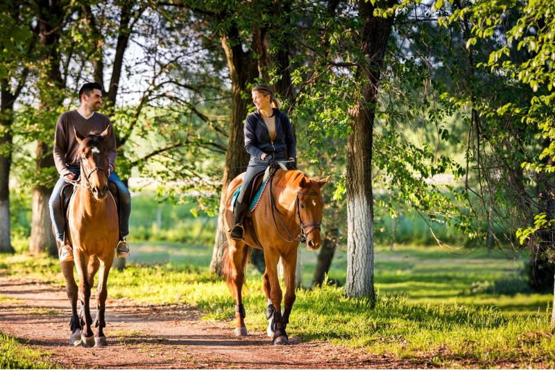 Private riding lesson on the terrain for two