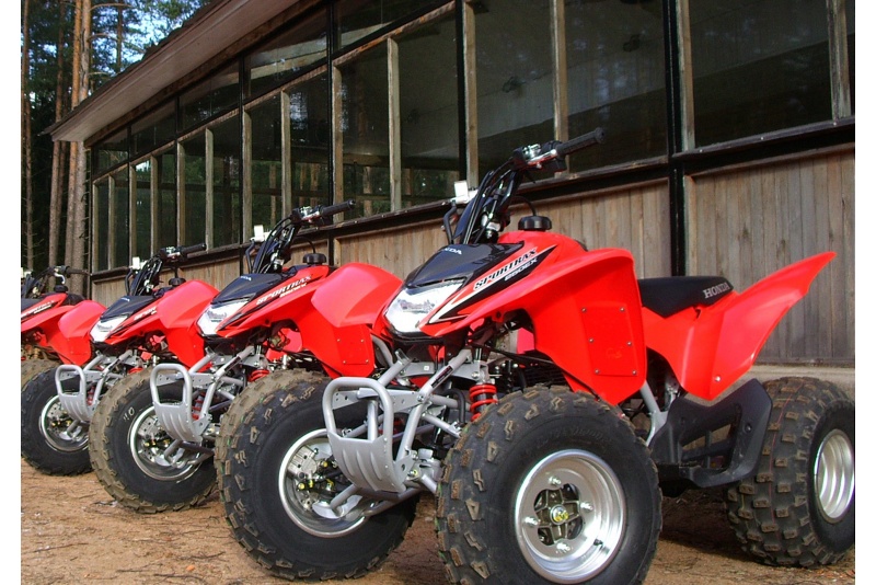 Thrilling ride on quad bike in forest