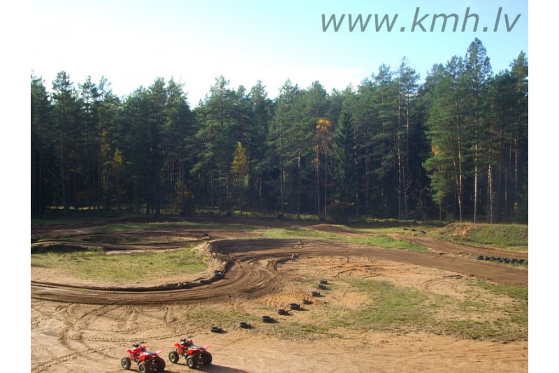 Thrilling ride on quad bike in forest