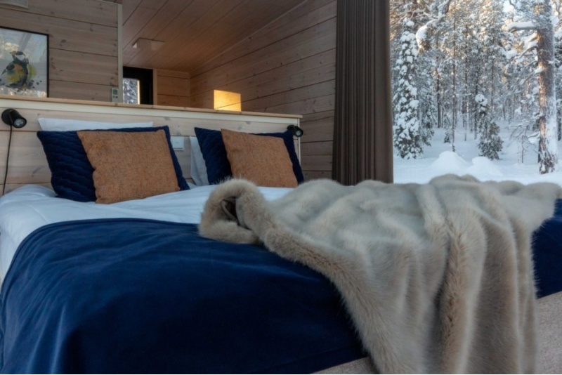 Accommodation in a glass room at the Arctic Skylight Lodge