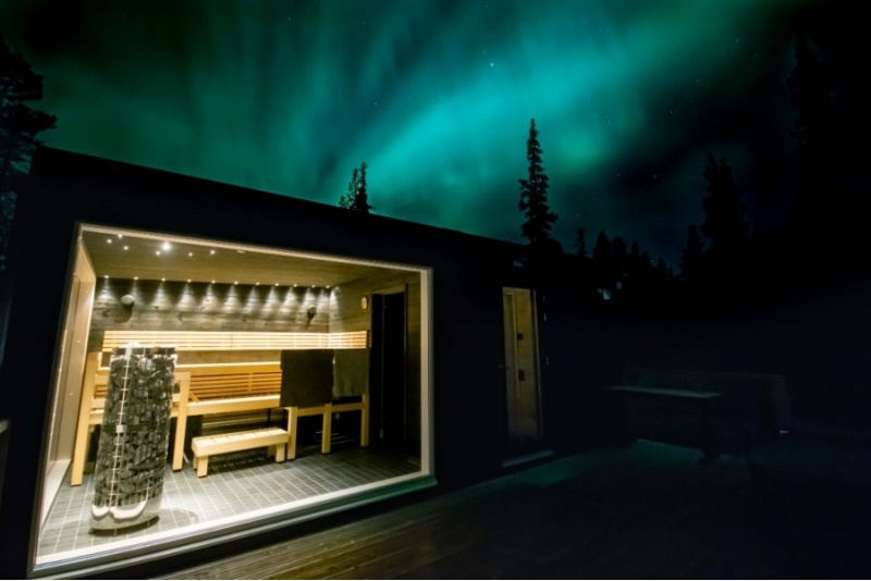 Private use of the glass sauna and outdoor jacuzzi (in winter)