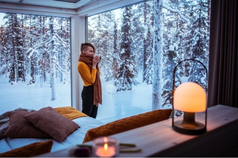 Private use of the glass sauna and outdoor jacuzzi (in summer)