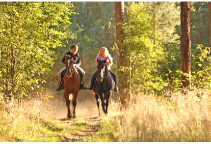 Horse riding for 2 persons