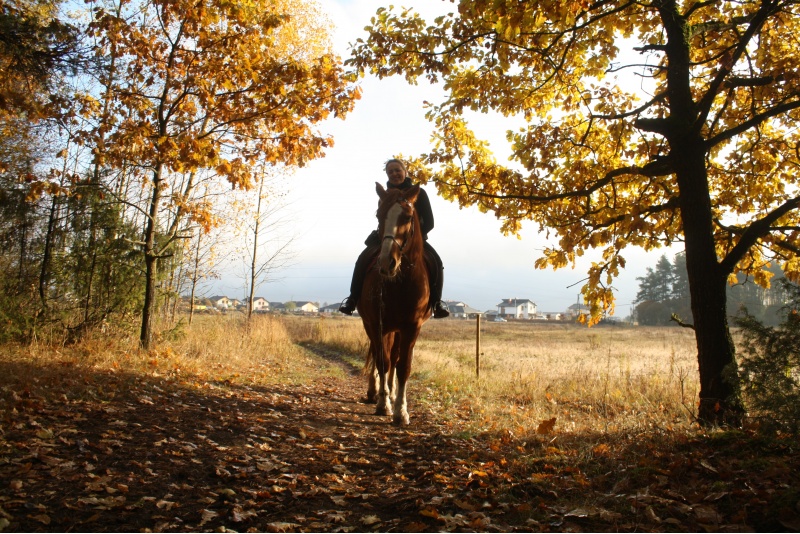 Horse riding for 2 persons
