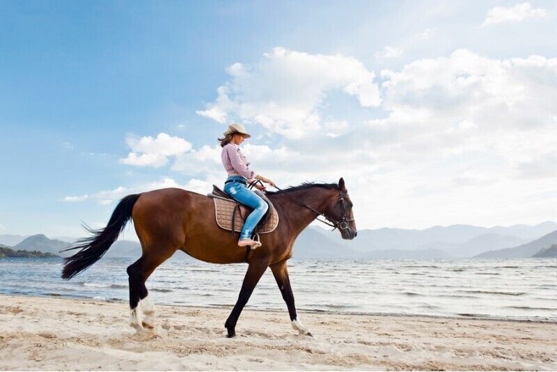 Horse riding along the seashore