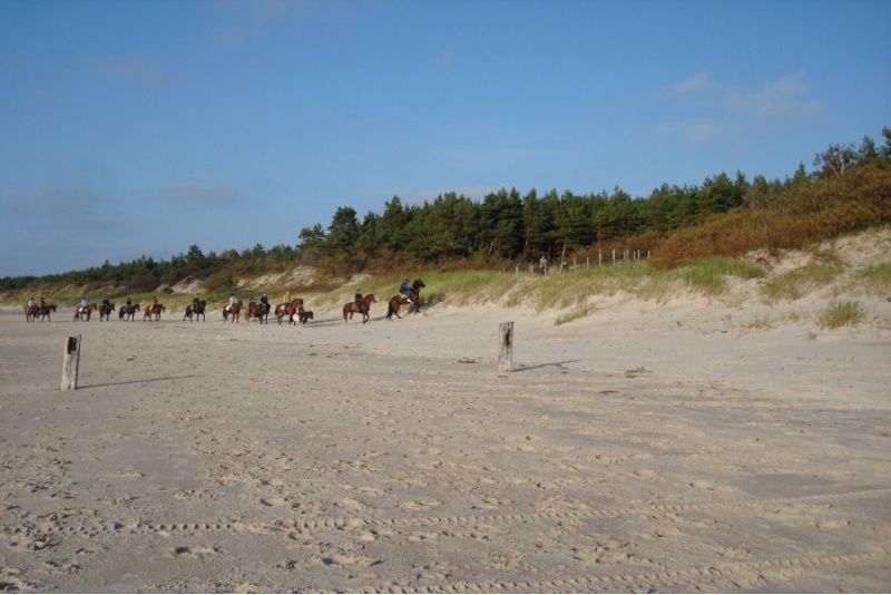 Romantic riding near the seaside