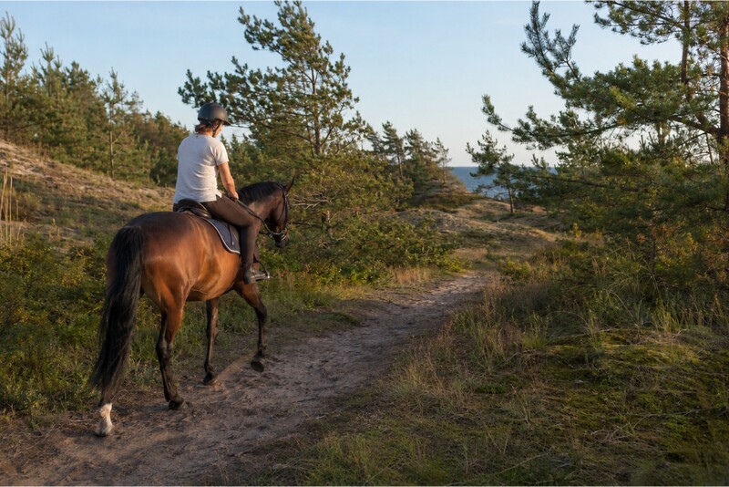 Horse riding along the seashore