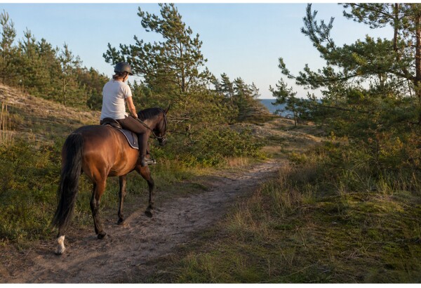 Horse riding along the seashore