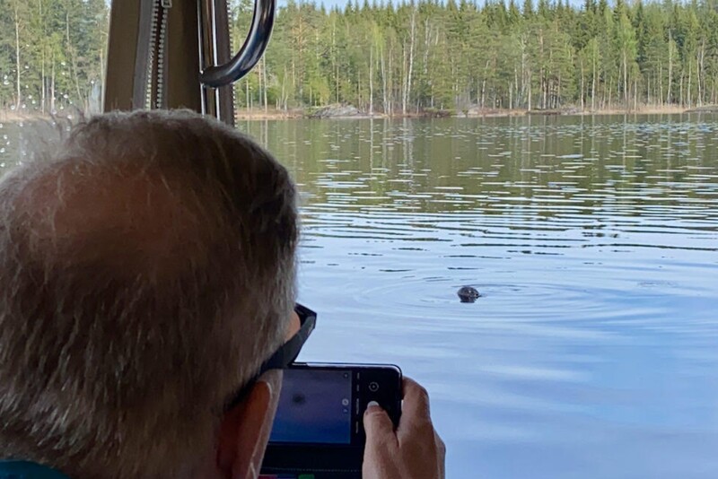 Saimaa Ringed Seal Trip in Puumala on the Ekopaatti