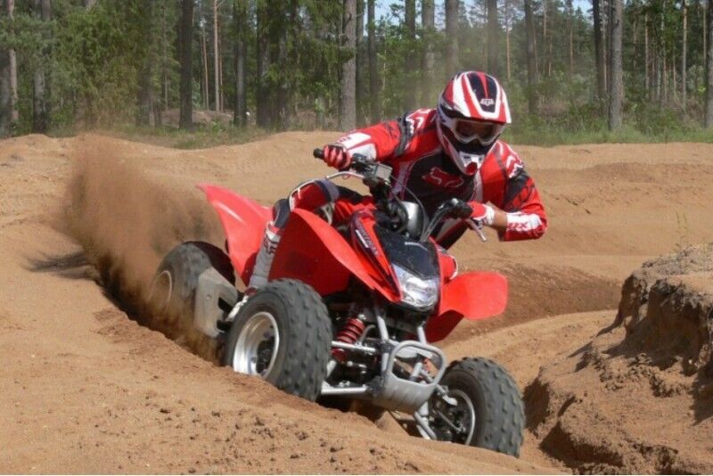 Thrilling ride on quad bike in forest