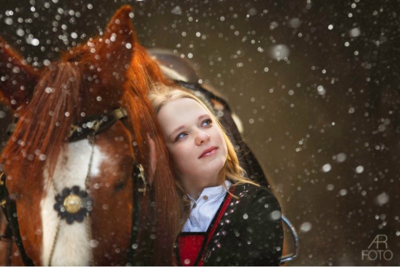 Horse riding for Family